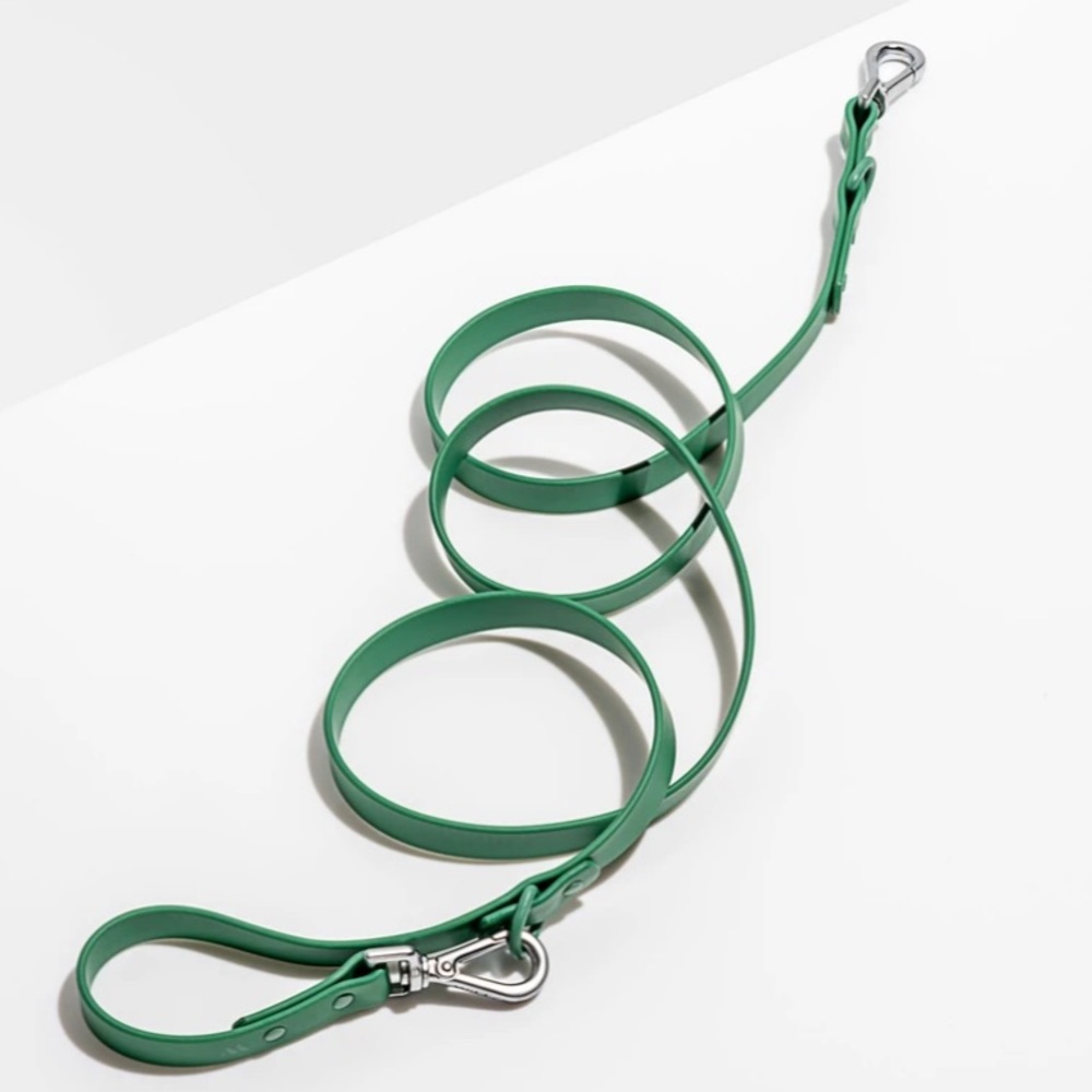 Wild One Leash - Spruce - Standard